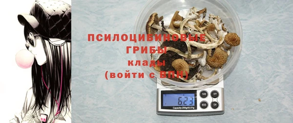 крисы Беломорск