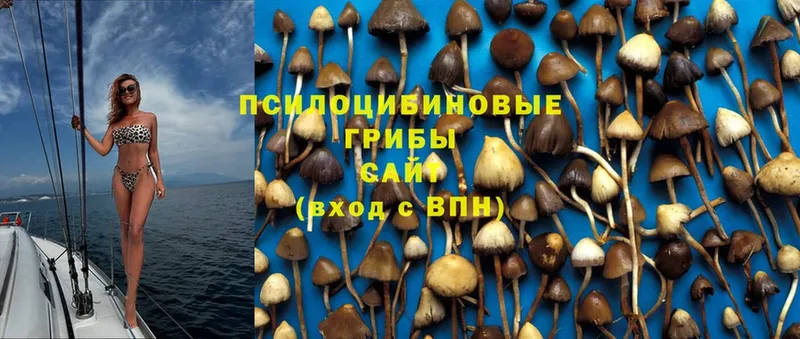 Галлюциногенные грибы Magic Shrooms  нарко площадка формула  Любим 